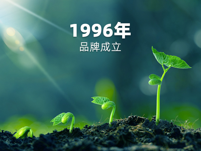 1996年品牌成立：PCB硬板制造征程，匠心傳承！